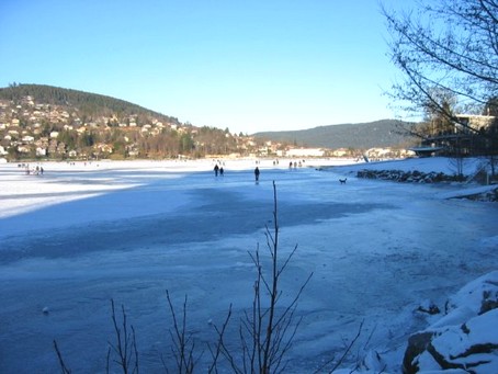 lac de Grardmer gel - Gite en Alsace